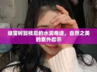 綠寶樹剪枝后的水潤奇跡，自然之美的意外啟示