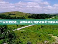 興安嶺大彎道，自然奇觀與保護(hù)進(jìn)展的雙重奏響