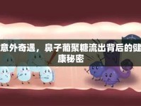 意外奇遇，鼻子葡聚糖流出背后的健康秘密