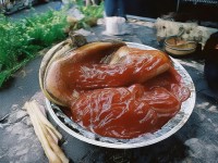 亞洲性情區(qū)，多元文化如何碰撞出獨特魅力？