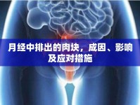 月經(jīng)中排出的肉塊，成因、影響及應(yīng)對(duì)措施