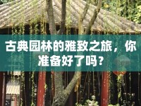 古典園林的雅致之旅，你準(zhǔn)備好了嗎？