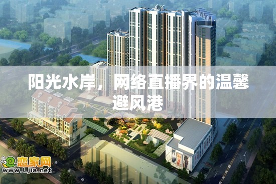陽光水岸，網(wǎng)絡(luò)直播界的溫馨避風(fēng)港