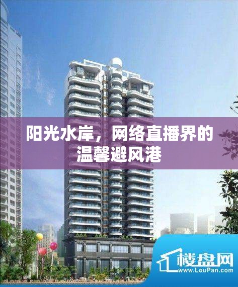 陽光水岸，網(wǎng)絡(luò)直播界的溫馨避風(fēng)港