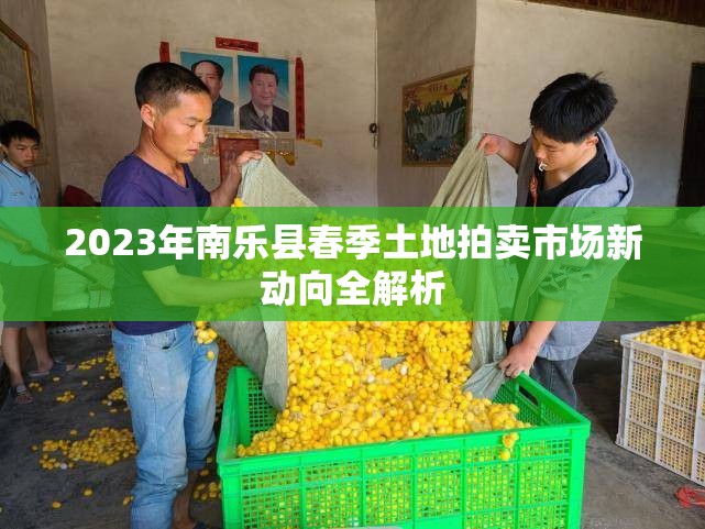 2023年南樂縣春季土地拍賣市場新動向全解析