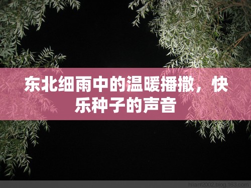 東北細(xì)雨中的溫暖播撒，快樂種子的聲音
