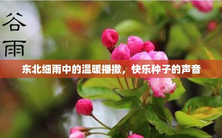 東北細(xì)雨中的溫暖播撒，快樂種子的聲音