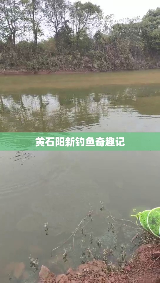 黃石陽(yáng)新釣魚奇趣記