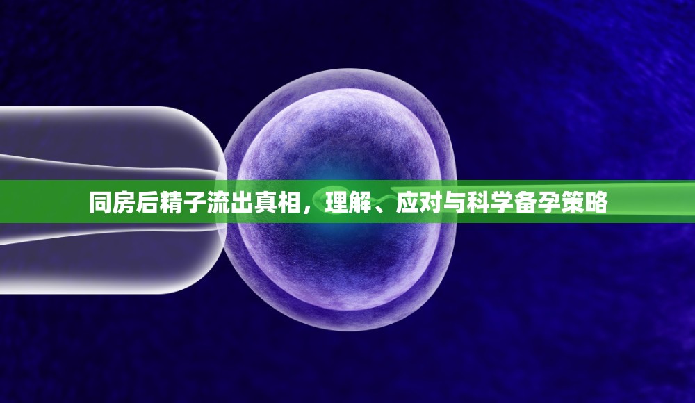 同房后精子流出真相，理解、應(yīng)對(duì)與科學(xué)備孕策略
