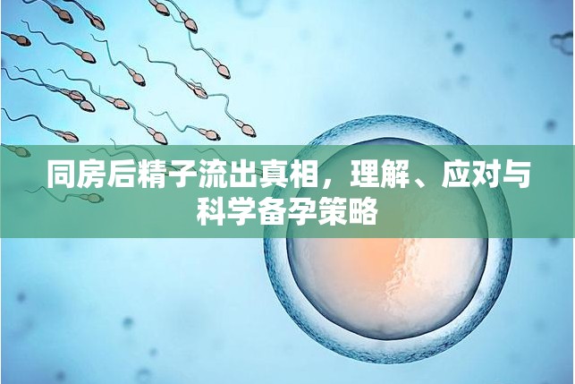 同房后精子流出真相，理解、應(yīng)對(duì)與科學(xué)備孕策略