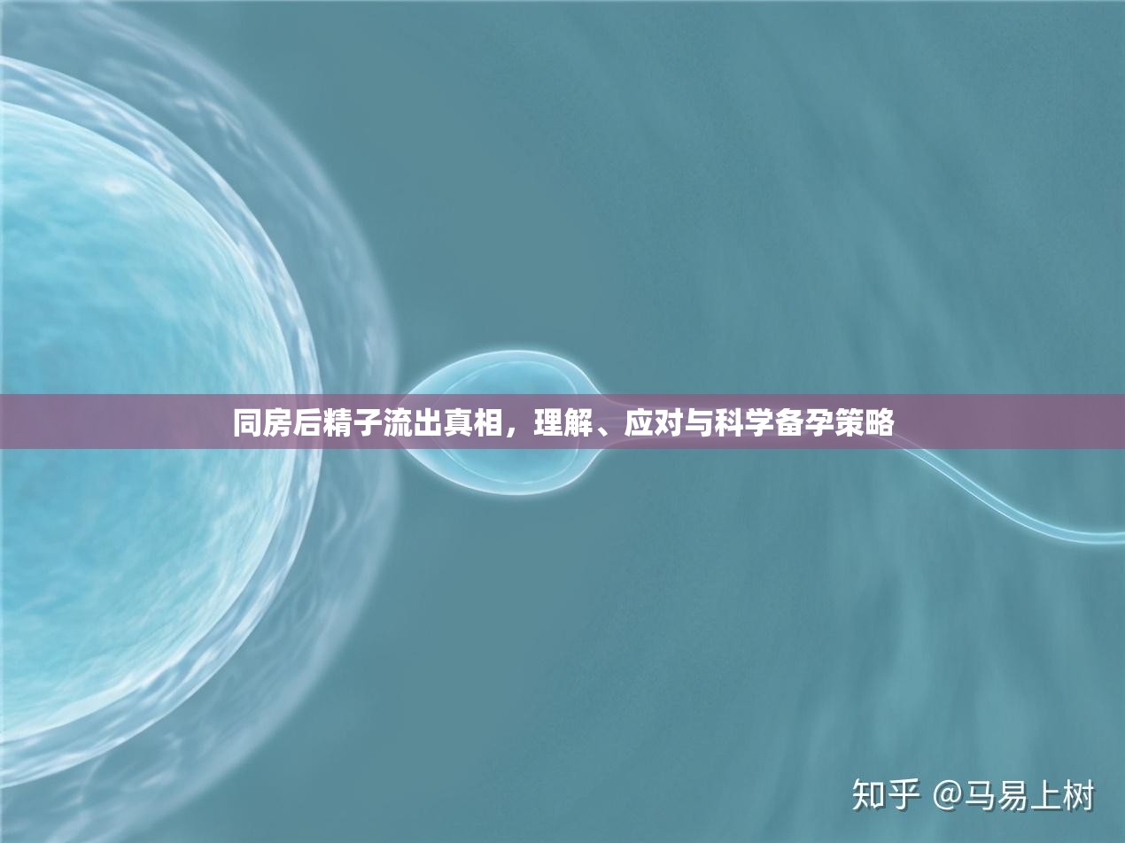 同房后精子流出真相，理解、應(yīng)對(duì)與科學(xué)備孕策略