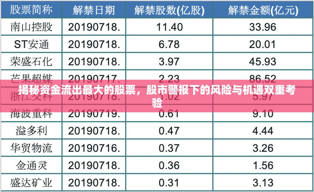 揭秘資金流出最大的股票，股市警報(bào)下的風(fēng)險(xiǎn)與機(jī)遇雙重考驗(yàn)