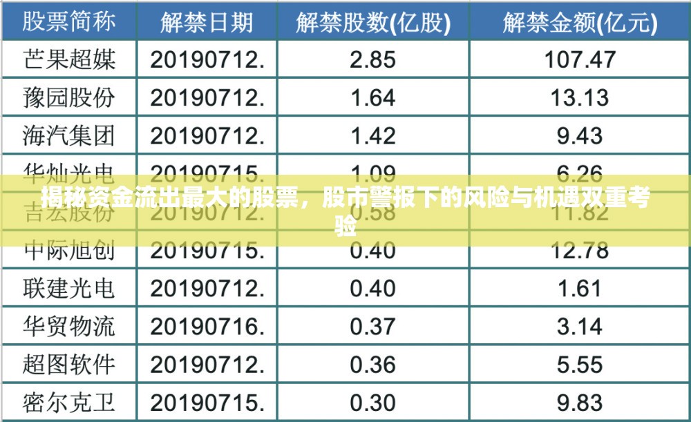 揭秘資金流出最大的股票，股市警報(bào)下的風(fēng)險(xiǎn)與機(jī)遇雙重考驗(yàn)