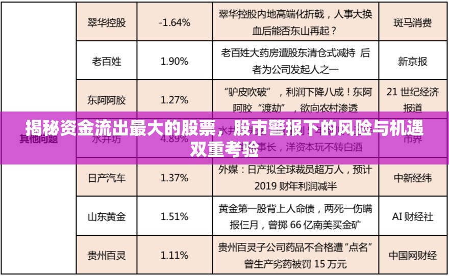 揭秘資金流出最大的股票，股市警報(bào)下的風(fēng)險(xiǎn)與機(jī)遇雙重考驗(yàn)