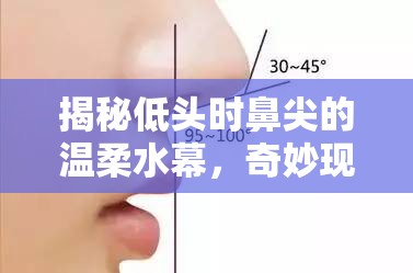 揭秘低頭時(shí)鼻尖的溫柔水幕，奇妙現(xiàn)象的背后