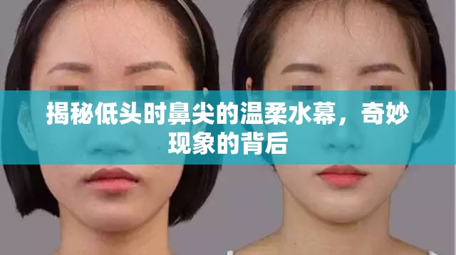 揭秘低頭時(shí)鼻尖的溫柔水幕，奇妙現(xiàn)象的背后