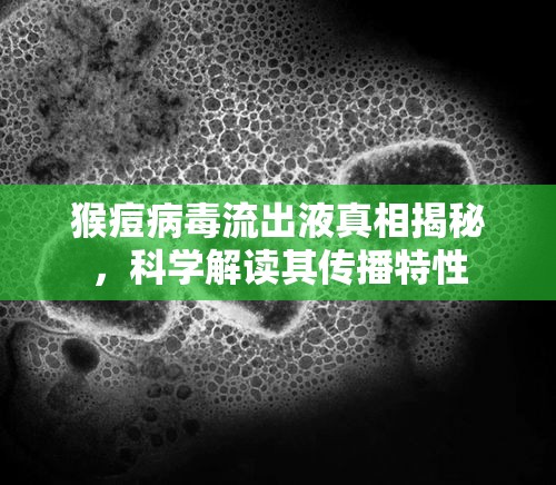 猴痘病毒流出液真相揭秘，科學(xué)解讀其傳播特性