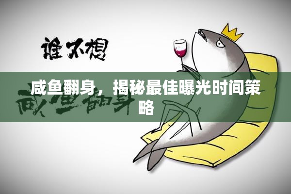 咸魚(yú)翻身，揭秘最佳曝光時(shí)間策略