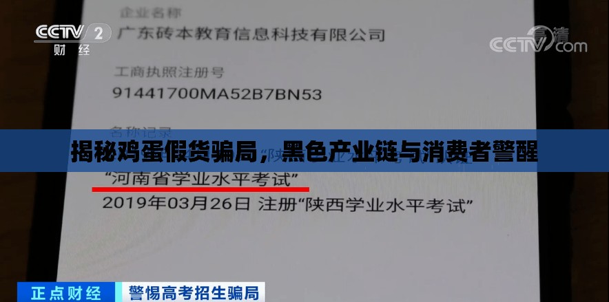 揭秘雞蛋假貨騙局，黑色產(chǎn)業(yè)鏈與消費者警醒