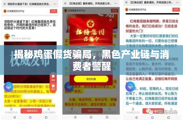揭秘雞蛋假貨騙局，黑色產(chǎn)業(yè)鏈與消費者警醒
