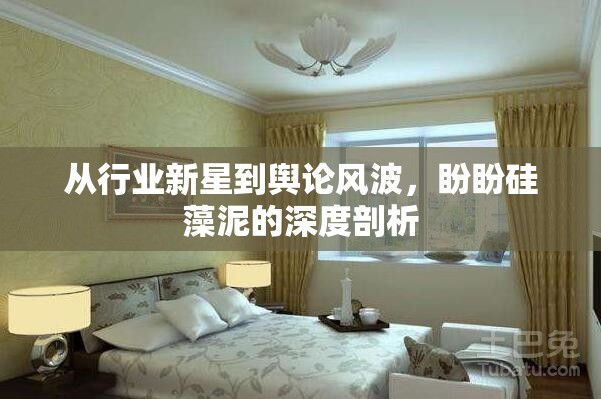 從行業(yè)新星到輿論風(fēng)波，盼盼硅藻泥的深度剖析
