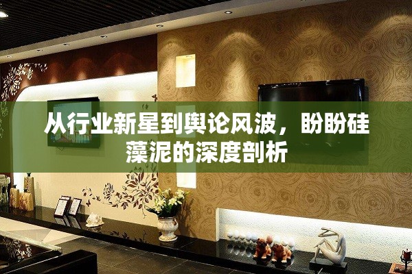 從行業(yè)新星到輿論風(fēng)波，盼盼硅藻泥的深度剖析