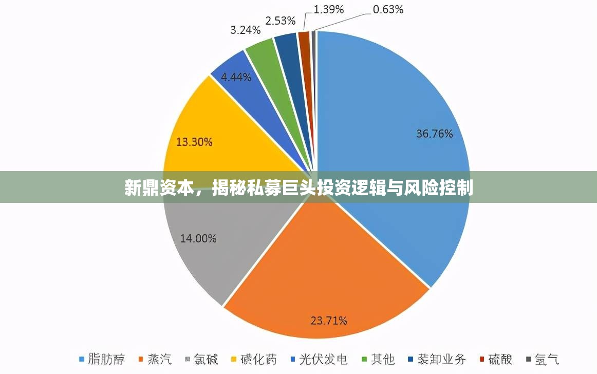 新鼎資本，揭秘私募巨頭投資邏輯與風(fēng)險(xiǎn)控制