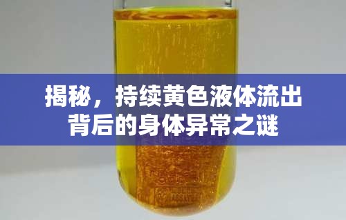 揭秘，持續(xù)黃色液體流出背后的身體異常之謎