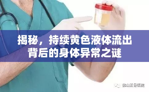 揭秘，持續(xù)黃色液體流出背后的身體異常之謎
