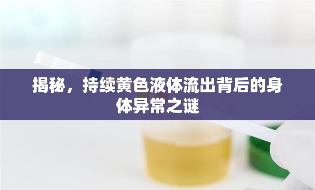 揭秘，持續(xù)黃色液體流出背后的身體異常之謎