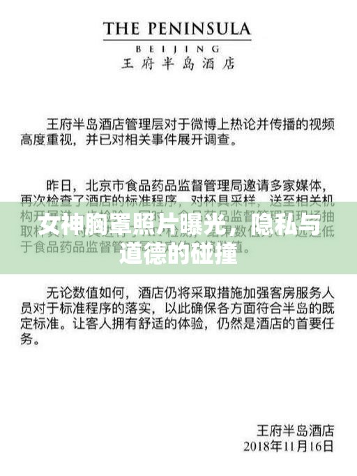女神胸罩照片曝光，隱私與道德的碰撞