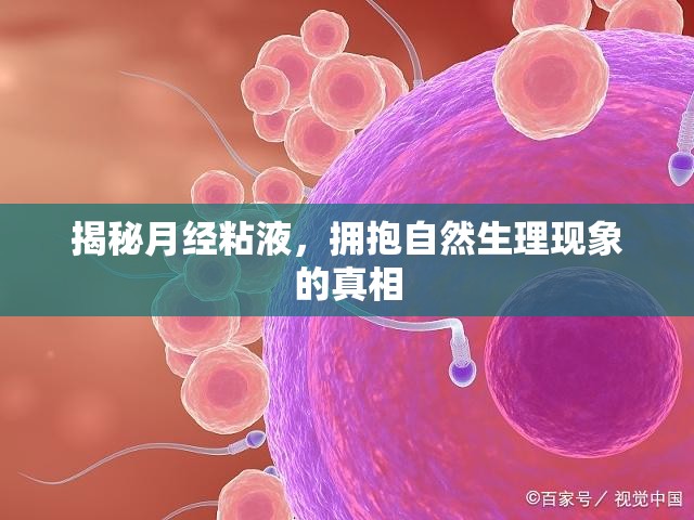 揭秘月經(jīng)粘液，擁抱自然生理現(xiàn)象的真相