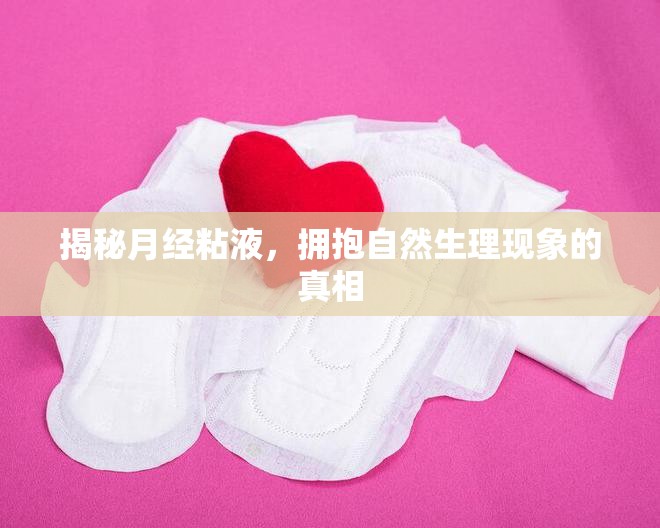 揭秘月經(jīng)粘液，擁抱自然生理現(xiàn)象的真相