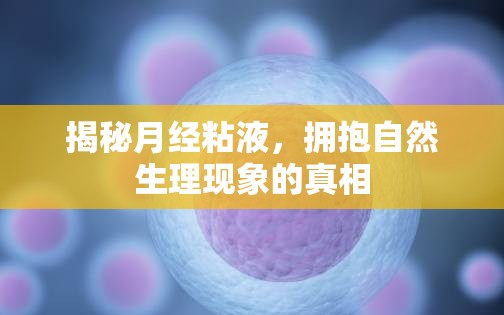 揭秘月經(jīng)粘液，擁抱自然生理現(xiàn)象的真相