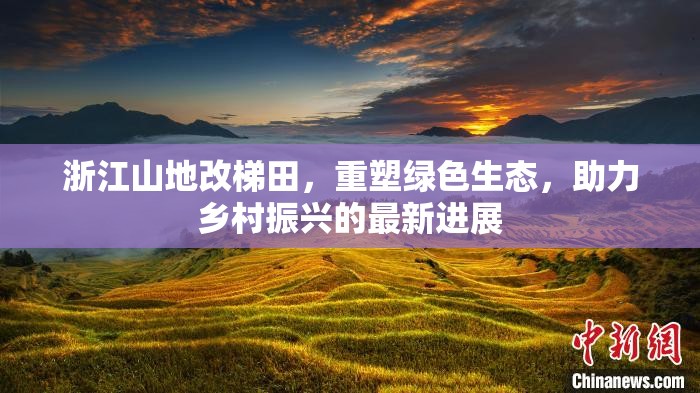 浙江山地改梯田，重塑綠色生態(tài)，助力鄉(xiāng)村振興的最新進展