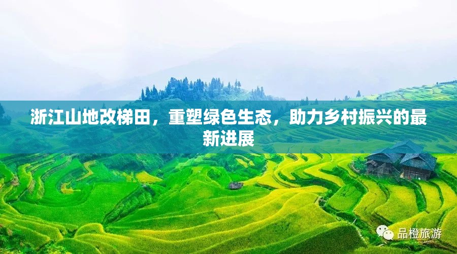 浙江山地改梯田，重塑綠色生態(tài)，助力鄉(xiāng)村振興的最新進展