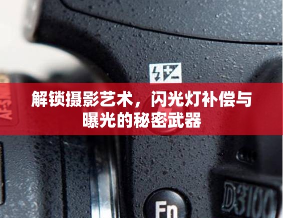 解鎖攝影藝術(shù)，閃光燈補償與曝光的秘密武器