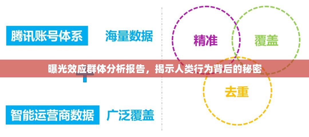 曝光效應(yīng)群體分析報告，揭示人類行為背后的秘密