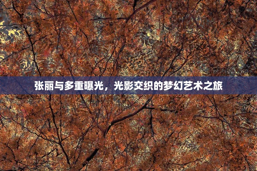 張麗與多重曝光，光影交織的夢幻藝術(shù)之旅