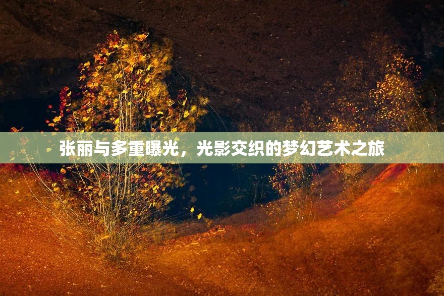 張麗與多重曝光，光影交織的夢幻藝術(shù)之旅