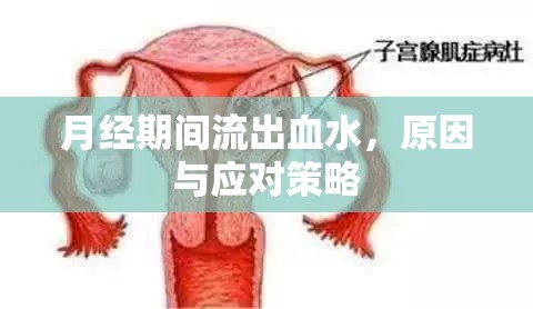 月經(jīng)期間流出血水，原因與應(yīng)對(duì)策略