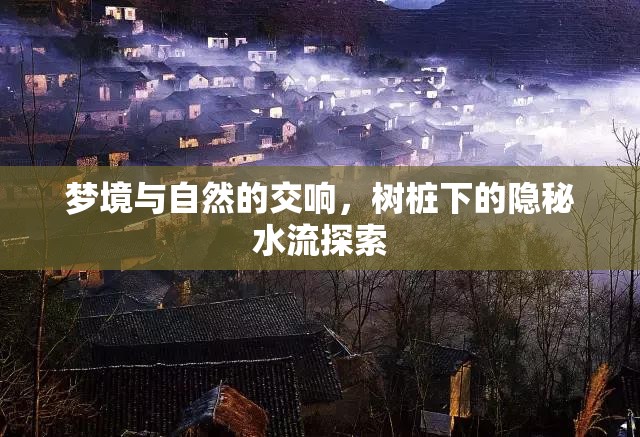 夢(mèng)境與自然的交響，樹樁下的隱秘水流探索