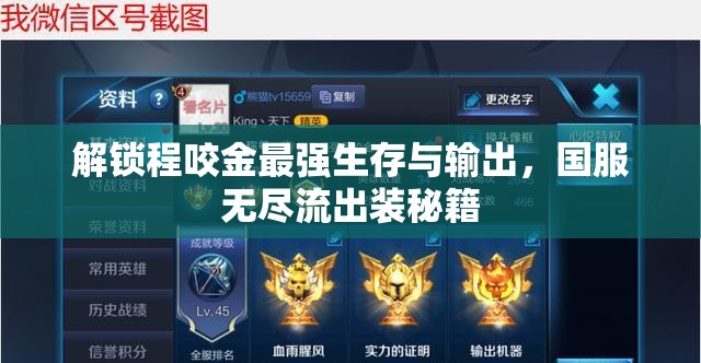 解鎖程咬金最強生存與輸出，國服無盡流出裝秘籍