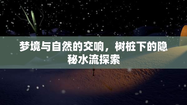 夢(mèng)境與自然的交響，樹樁下的隱秘水流探索