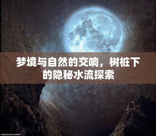 夢(mèng)境與自然的交響，樹樁下的隱秘水流探索