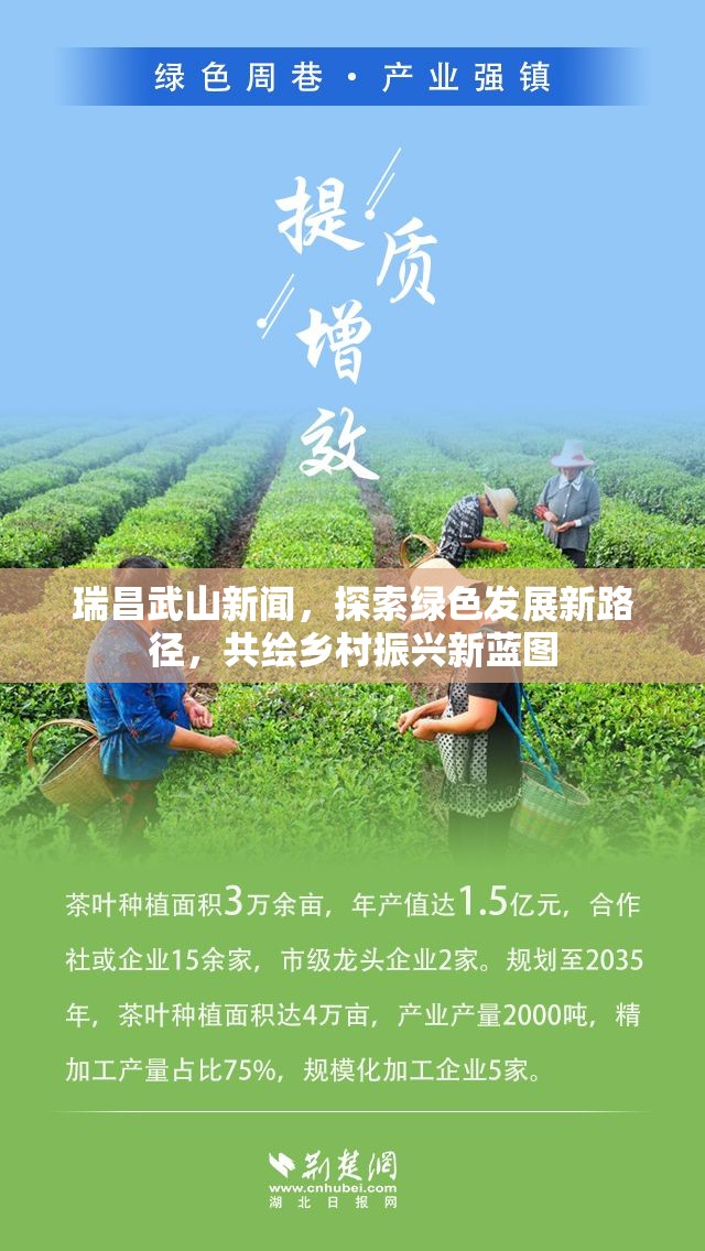 瑞昌武山新聞，探索綠色發(fā)展新路徑，共繪鄉(xiāng)村振興新藍(lán)圖
