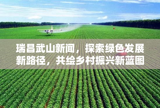 瑞昌武山新聞，探索綠色發(fā)展新路徑，共繪鄉(xiāng)村振興新藍(lán)圖
