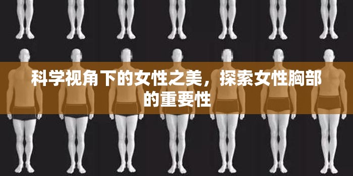 科學(xué)視角下的女性之美，探索女性胸部的重要性