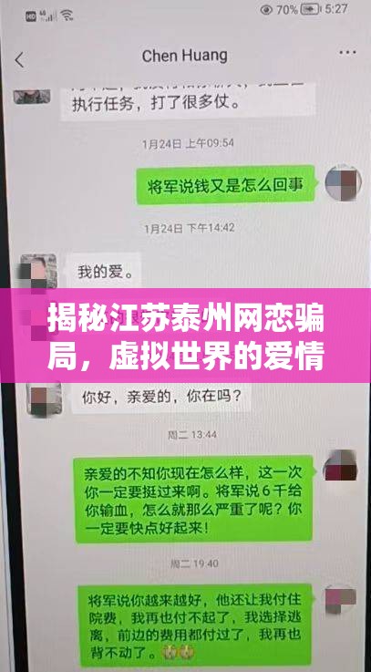 揭秘江蘇泰州網戀騙局，虛擬世界的愛情陷阱