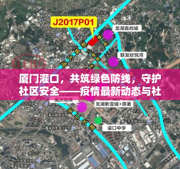 廈門灌口，共筑綠色防線，守護(hù)社區(qū)安全——疫情最新動態(tài)與社區(qū)防控實(shí)錄